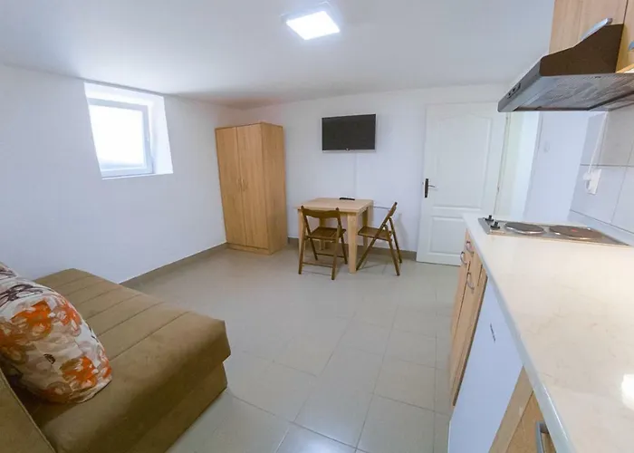 Stefanovic Lejlighed Sokobanja