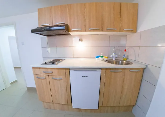 Stefanovic Lejlighed Sokobanja